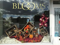 Blooms Apart 1060669 Image 8